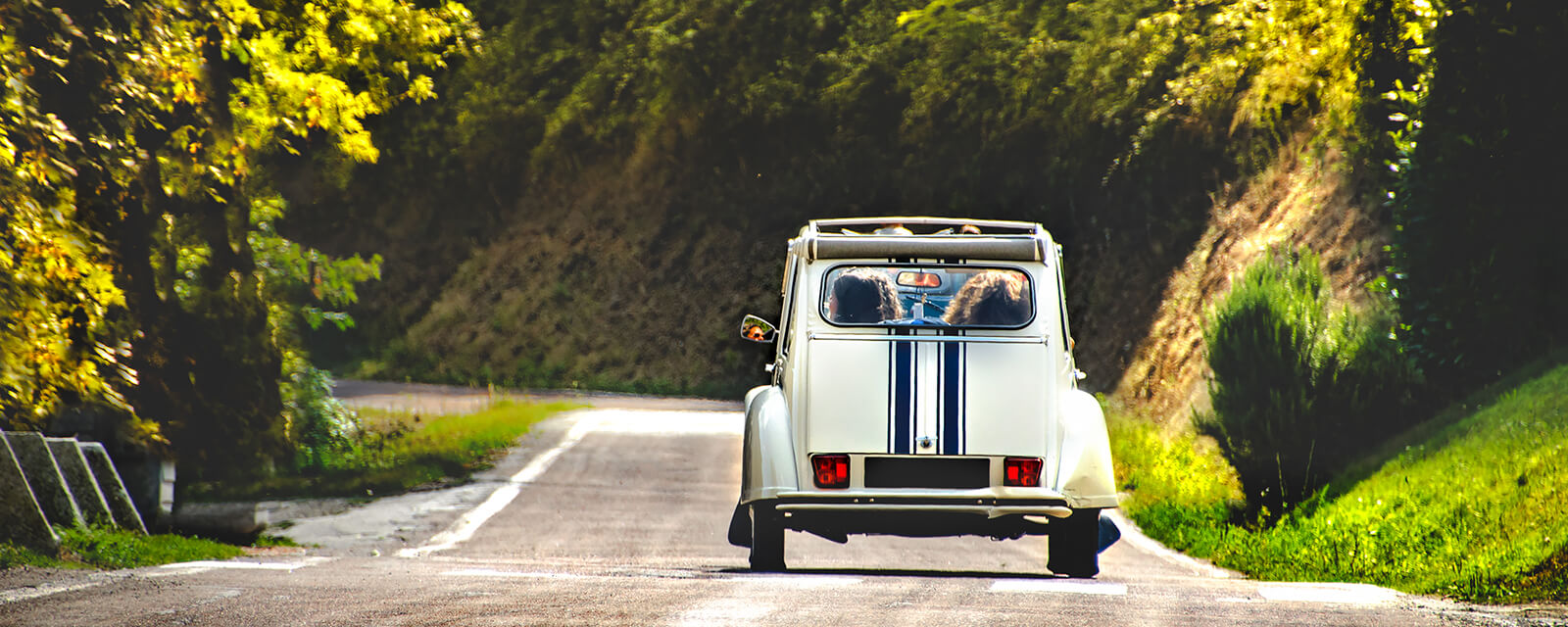 A vintage car on a tree-lined country road